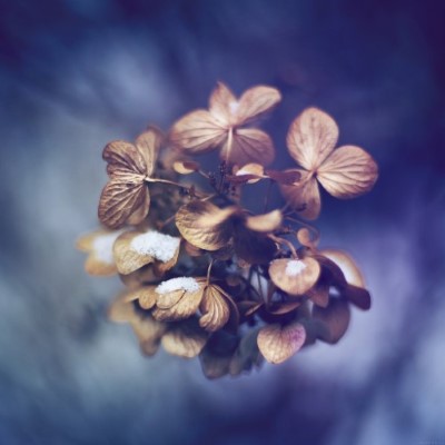 Nature19