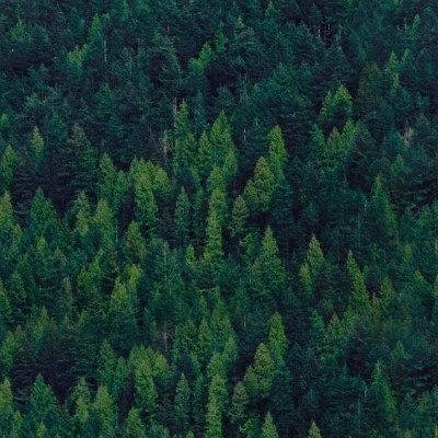 Nature2
