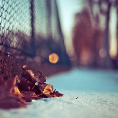 Nature8