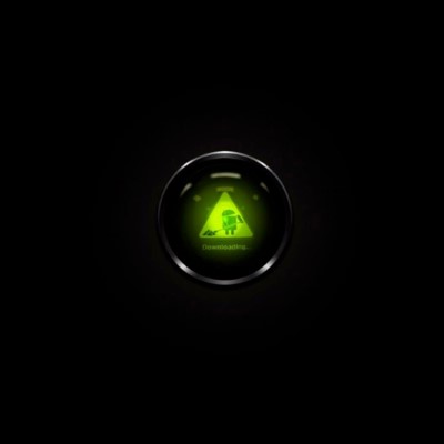 0060